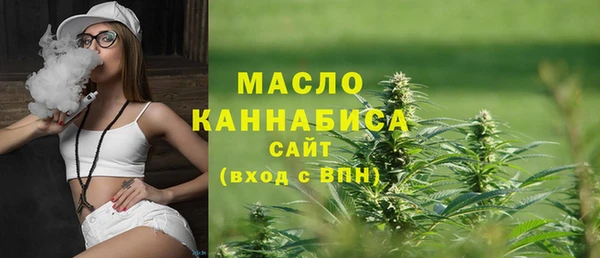 метадон Богданович